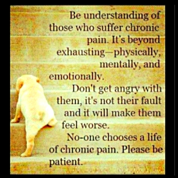 🐘 ELEPHANTS on PARADE & FRIENDS MINIATURES LOT - Picture 14 of 16